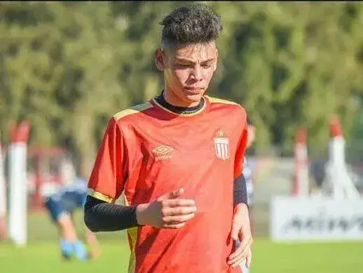 zapiola inferiores
