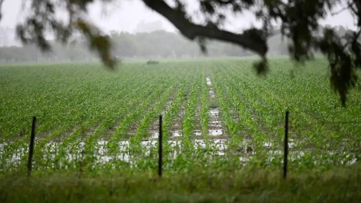 El Niño gana fuerza y crece el riesgo de lluvias excesivas