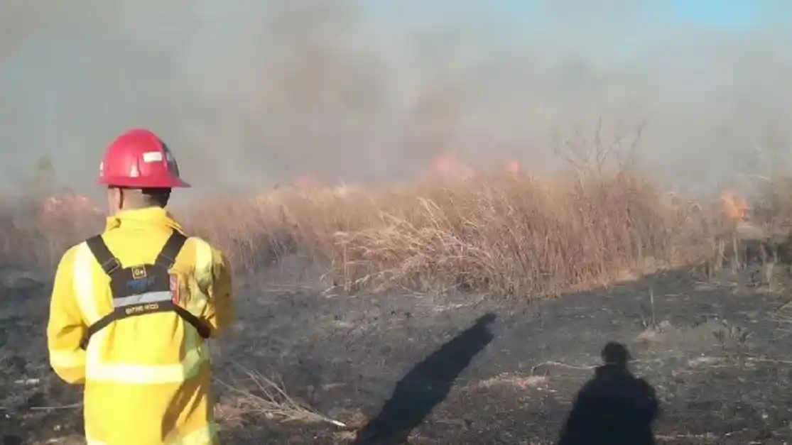 Continúan los focos de incendios en el Departamento Gualeguay