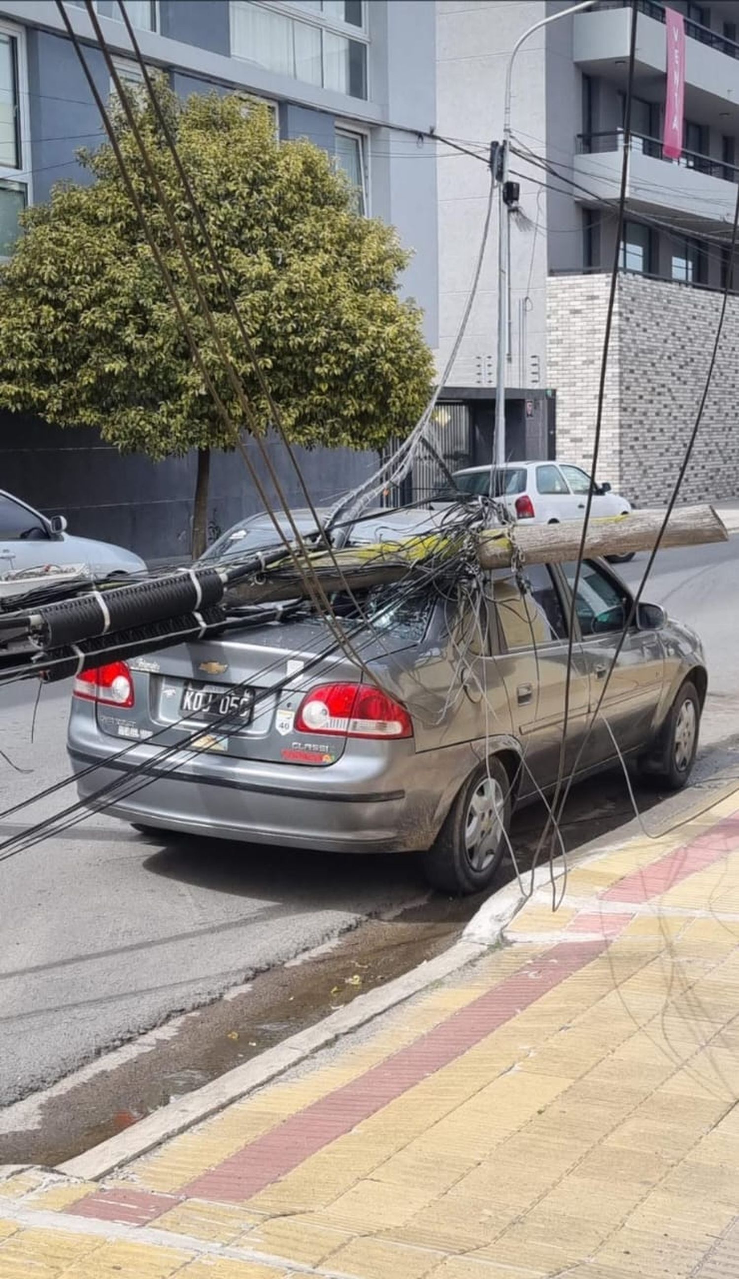 Postes de Telefónica cayeron sobre vehículos en plena zona semicéntrica