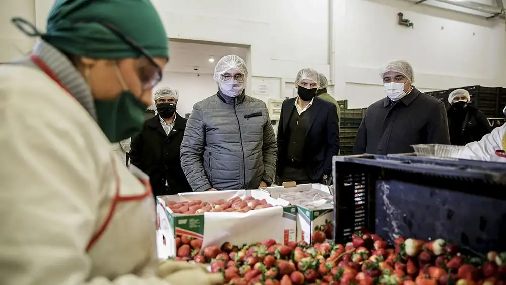 Productores y pymes elogian la baja de derechos de exportación de economías regionales