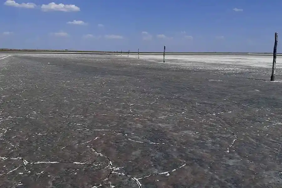 VIDEO | Córdoba: una laguna se quedó sin agua y perdió su flora y su fauna