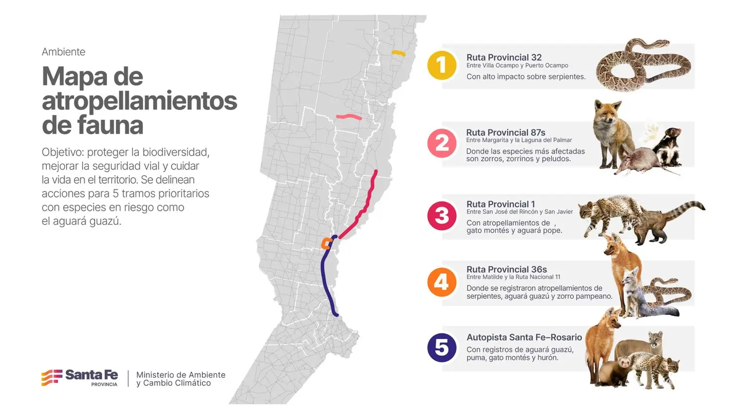 Mapa de atropellamientos viales