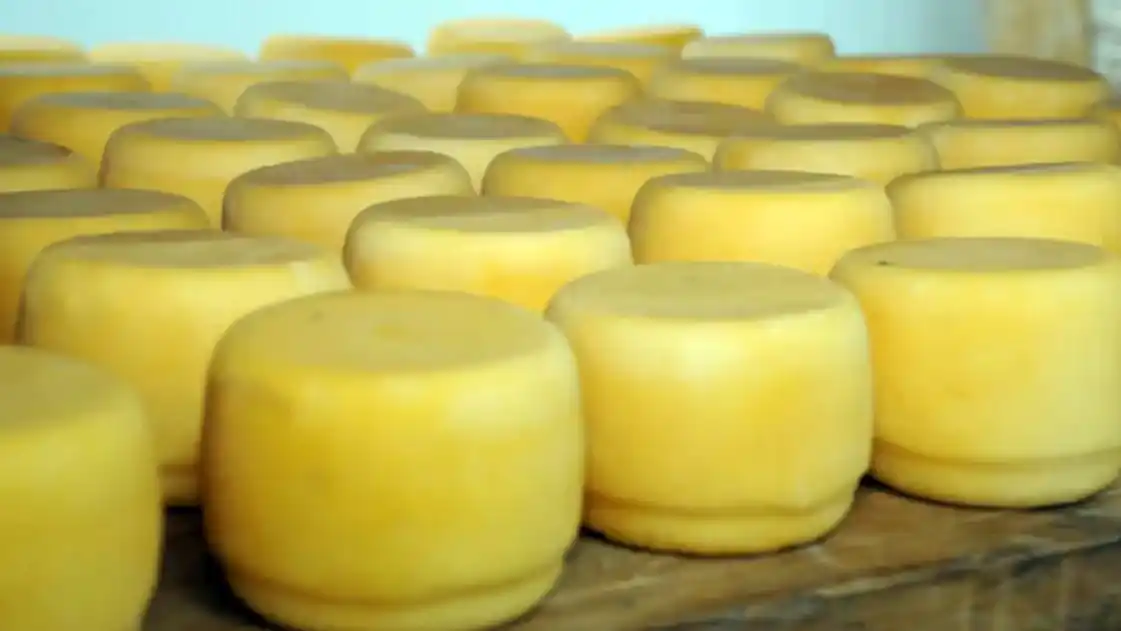 Confirman un brote de listeriosis por el consumo de un queso contaminado