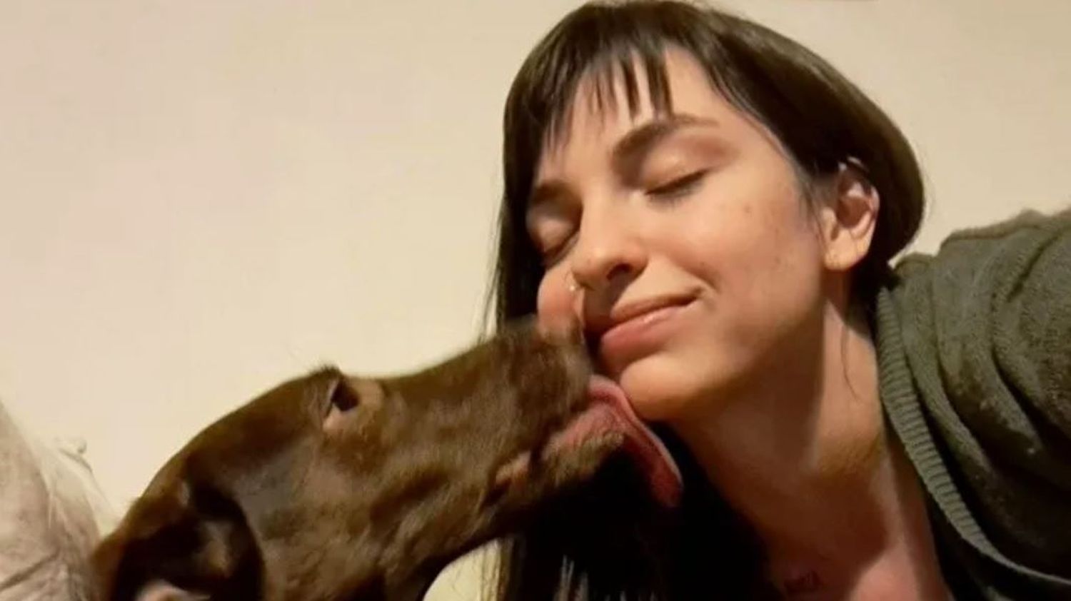 Se fue de viaje, dejó a su perra en la guardería y se escapó: la odisea que vivió para encontrarla