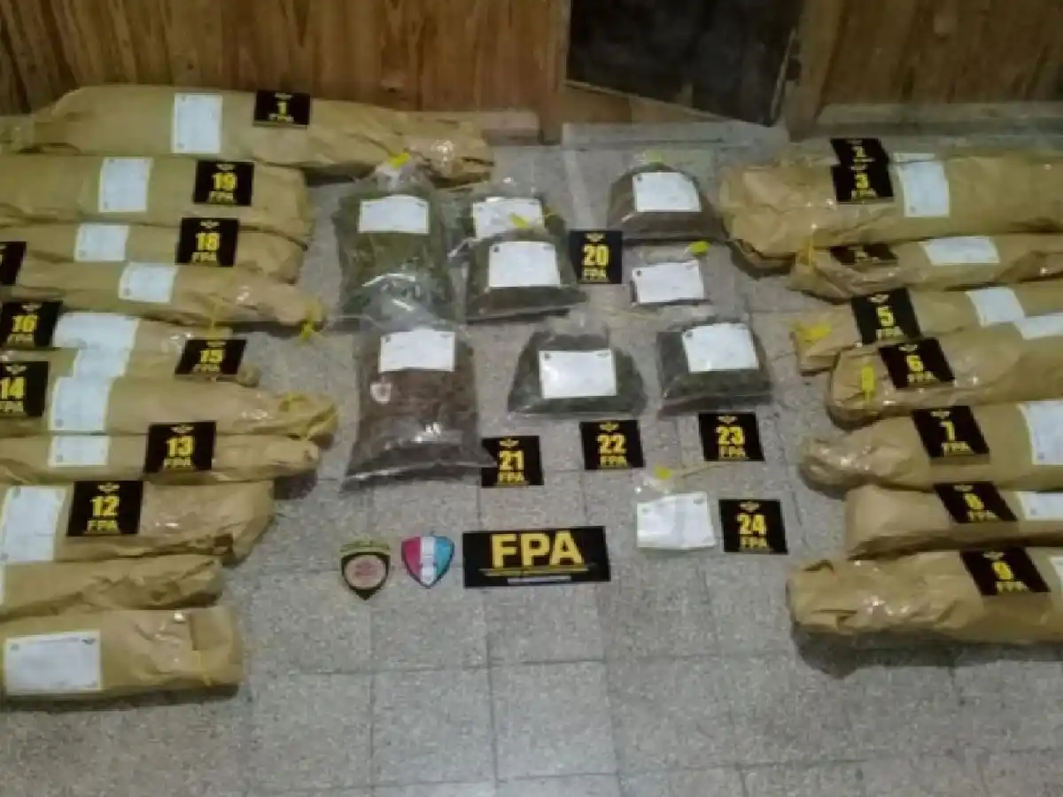 Llamó a la policía por ruidos molestos y la detuvieron porque tenía 19 plantas de marihuana en el patio