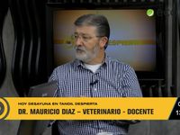 Importante curso profesional para despostadores