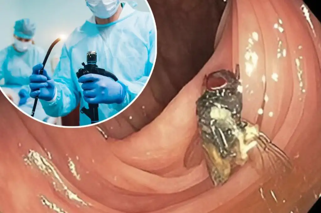 La encontraton médicos en Missouri, Estados Unidos.