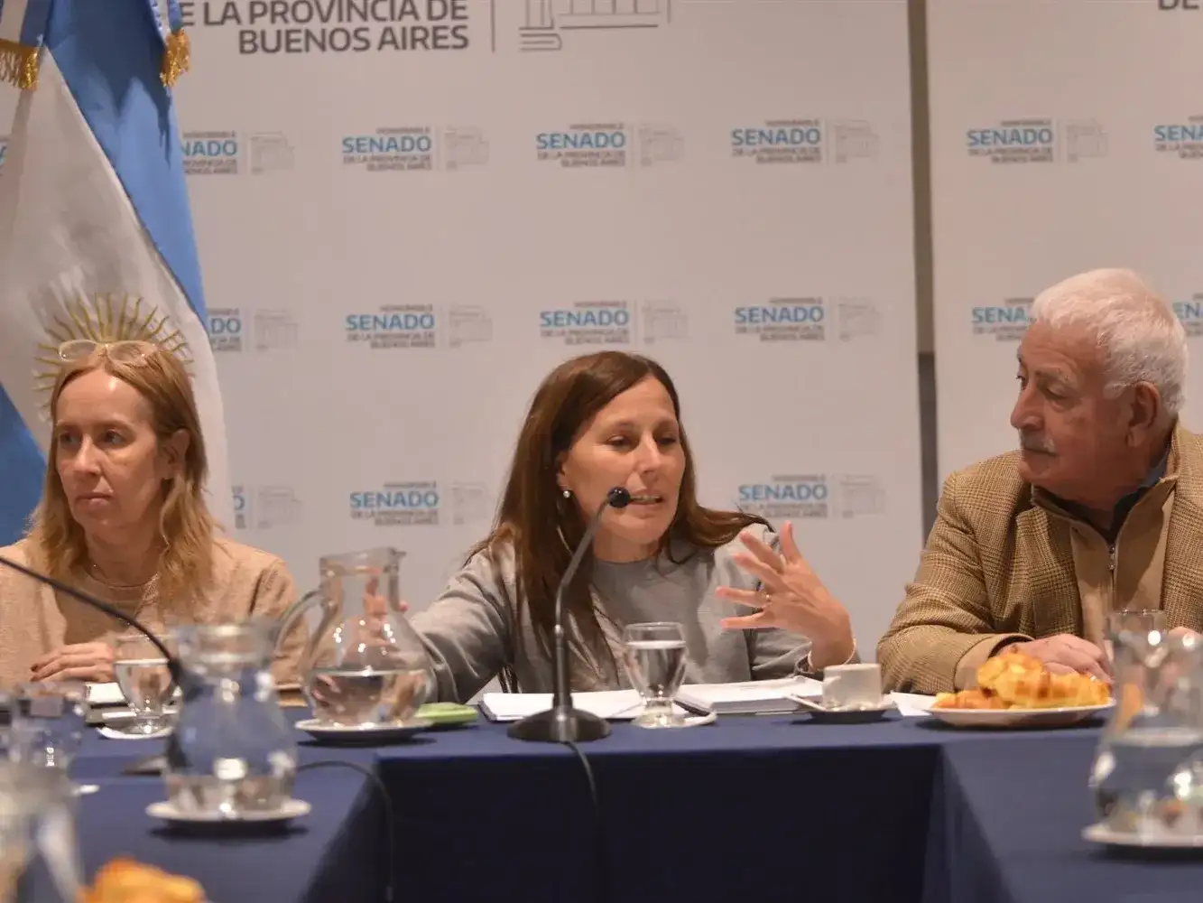 Comercios y pymes bonaerenses expusieron su situación ante el Senado: alertaron por caída del consumo y cierres