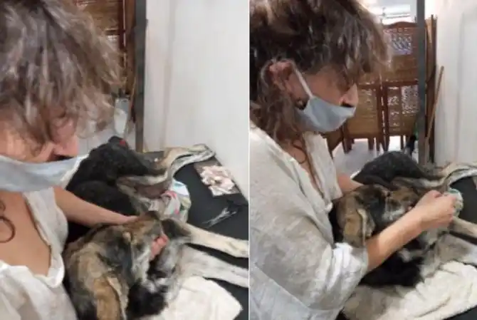 Agradecimiento a Marcela Hainez