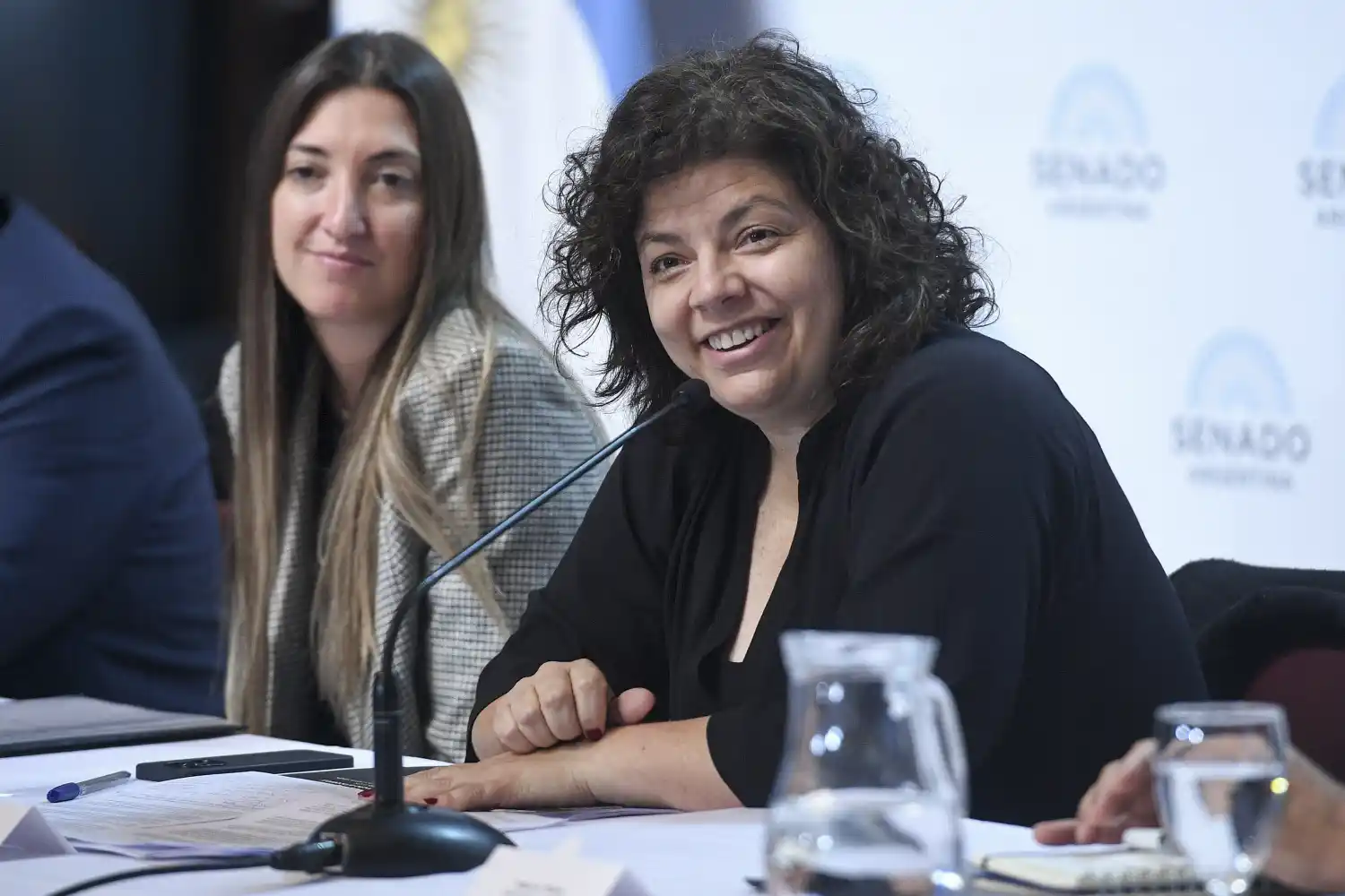 Carlos Vizzotti, ministra de Salud.