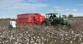 El Inta Sáenz Peña convoca al 1er Congreso Internacional del Algodon