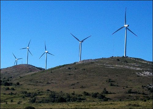 Preocupación por la instalación de un Parque Eólico: "Tenemos que defender nuestro ambiente”