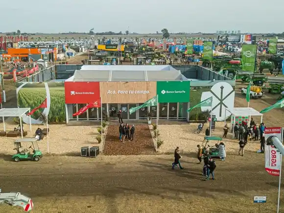 El financiamiento para el sector agropecuario crece fuerte y se esperan más cosechas récord