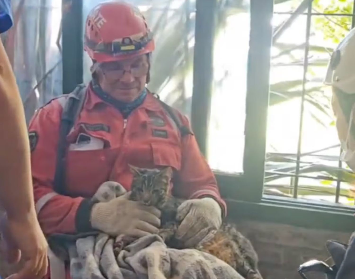 Derrumbe en Villa Gesell: en medio de tanta tristeza, el rescate de un gato emocionó a todos