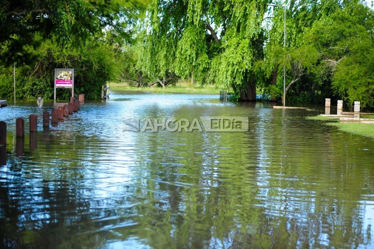 Salto Grande anunció que la creciente “va llegando a su fin”, pero que El Niño puede volver a elevar las aguas en algún momento