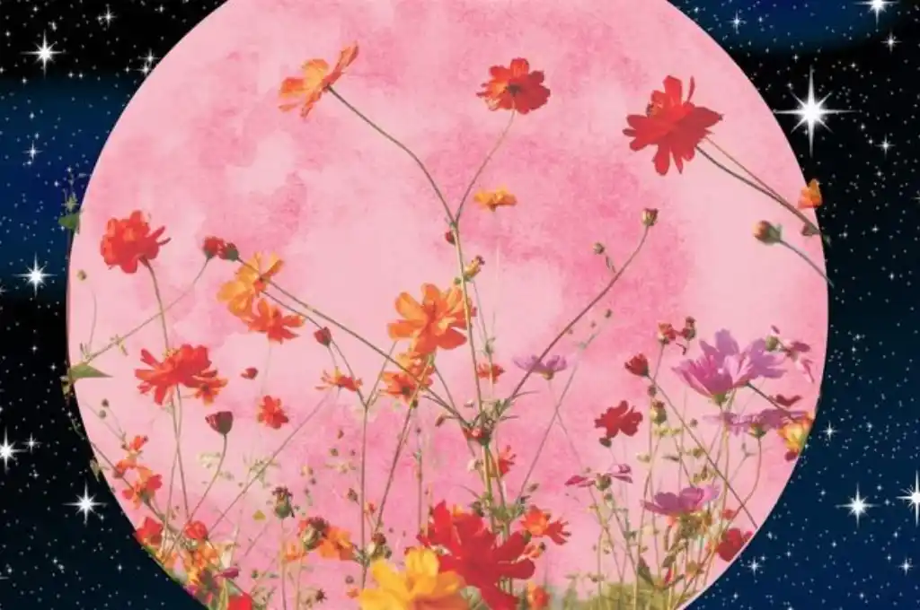 La luna llena de Flores se puede observar en todo el mundo, siempre que el cielo esté despejado.