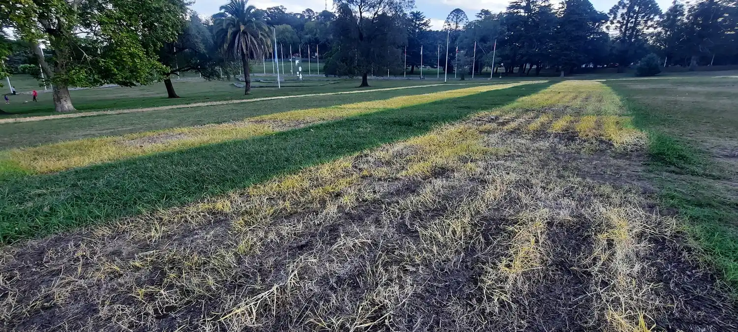 Daños en la Plaza de las Banderas