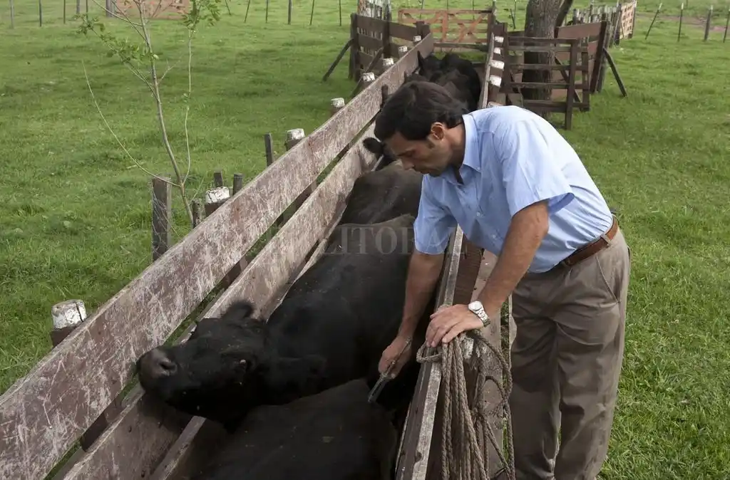 El arma del campo contra el COVID19