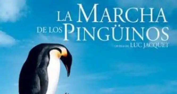 La vida del Pingüino