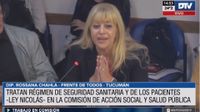 Avanza el proyecto sobre seguridad del paciente e iniciativa que regula a los acompañantes terapéuticos