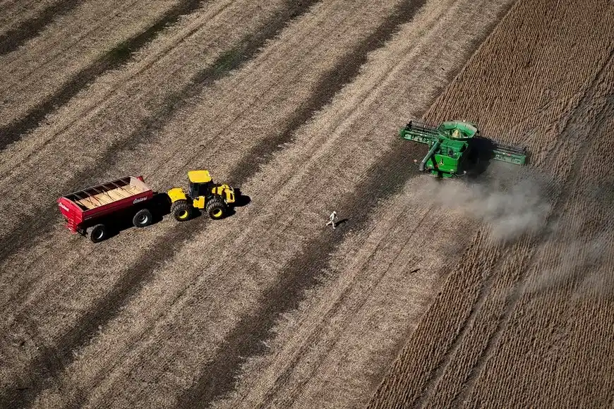 Cosecha de soja