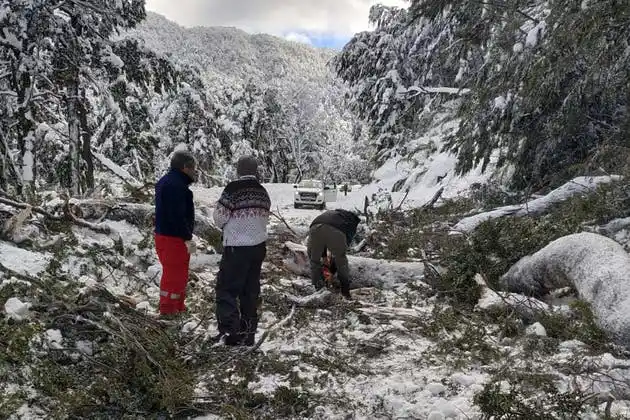 Evacuados tras derrumbe en la ruta 40