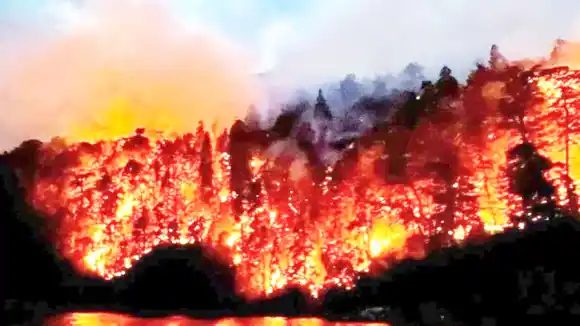 El incendio en el Parque Nacional Nahuel Huapi continúa activo: ya son más de 40 días de fuego