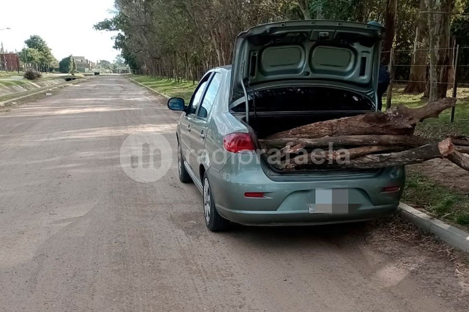 Los preparativos del asado le salieron mal: fue multado por sacar leña del Bosquecito Besaccia