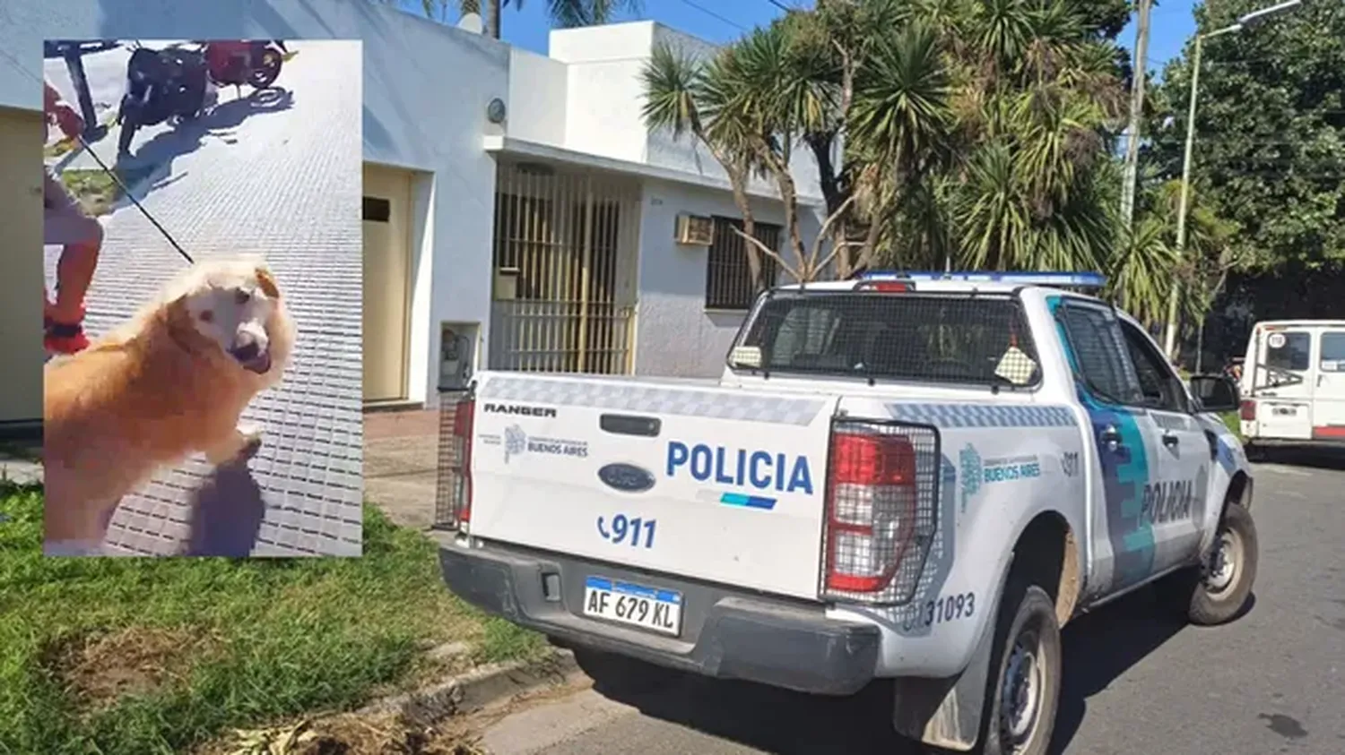 Mujer fue a carnicería preguntó si le podían faenar el perro