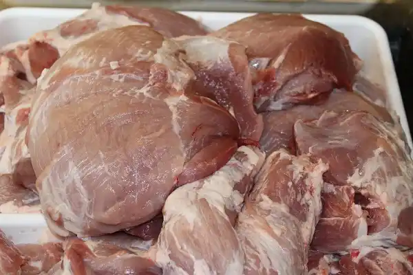 Importación de porcinos: Con la mirada puesta en el control sanitario