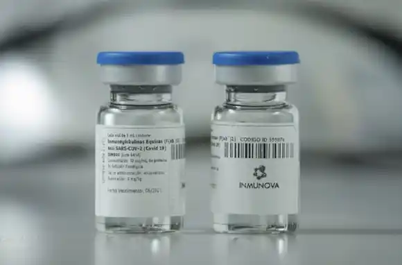 Pese a la aprobación de ANMAT, recomiendan no usar el suero equino hiperinmune en pacientes con coronavirus