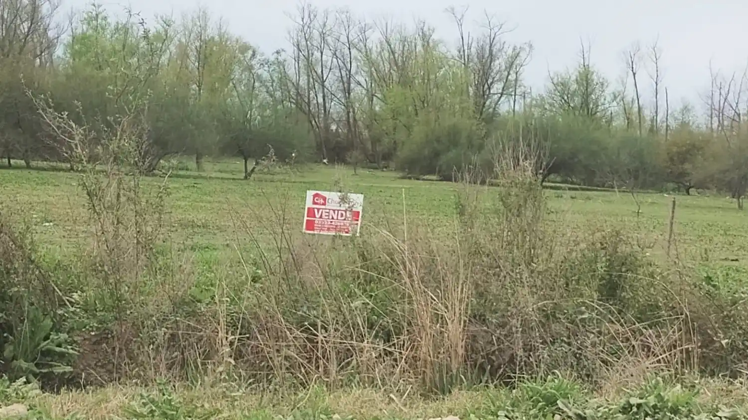 Intimaron a inmobiliaria por carteles de venta en la costa: “Tenemos los títulos”, dijo el intendente