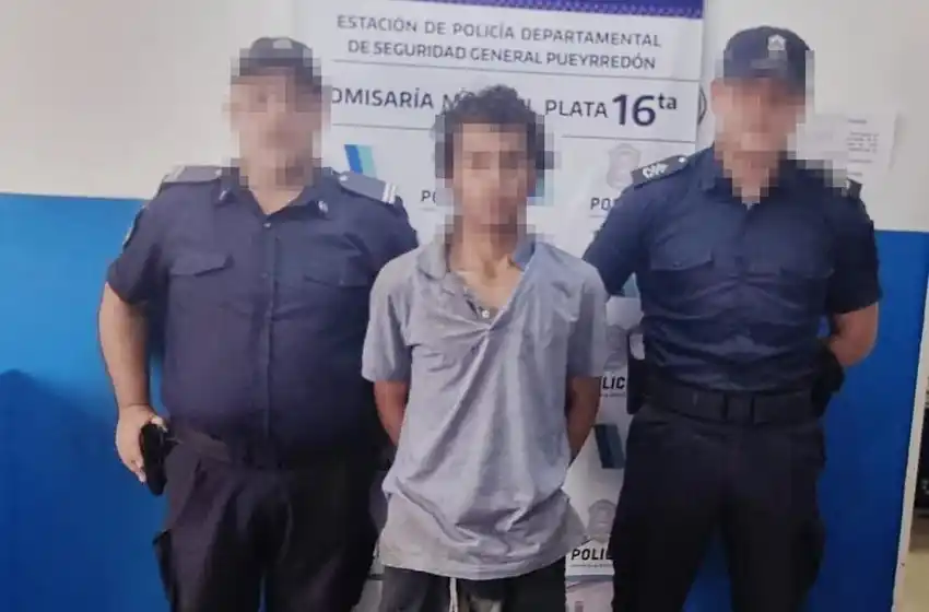 Detuvieron a otro ladrón de cables: fue en el barrio Peralta Ramos Oeste