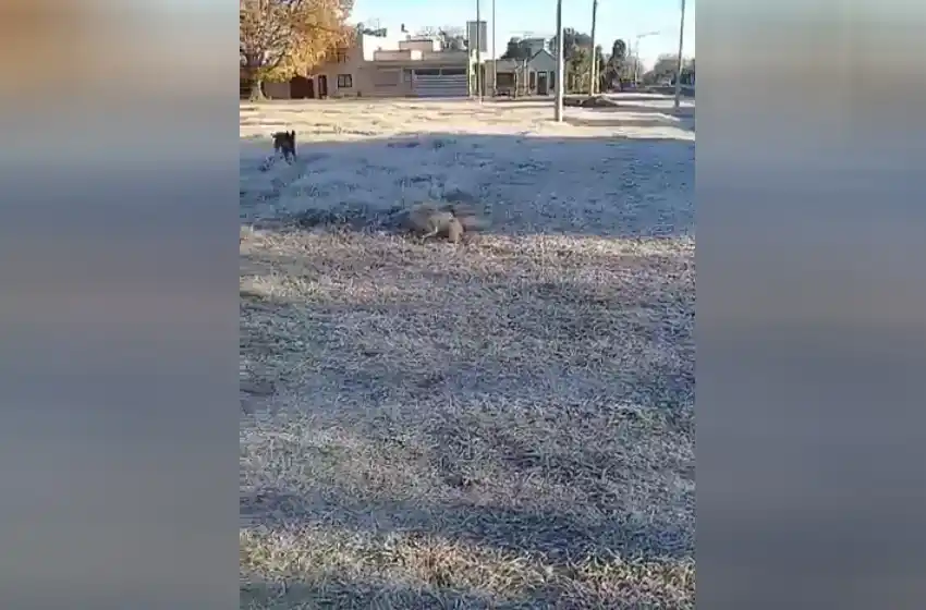¿Y esa sombra? La extraña figura que apareció en un video filmado por una rosarina