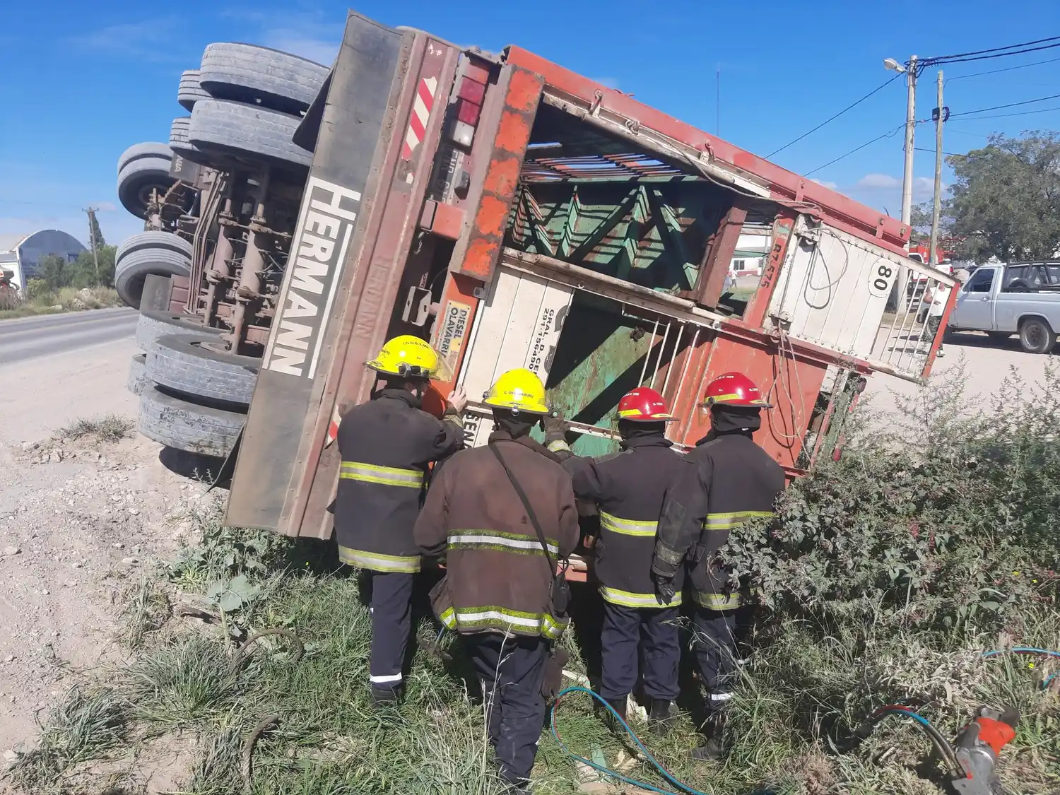 Volcó un camión que transportaba terneros en la Ruta 3 (Video)