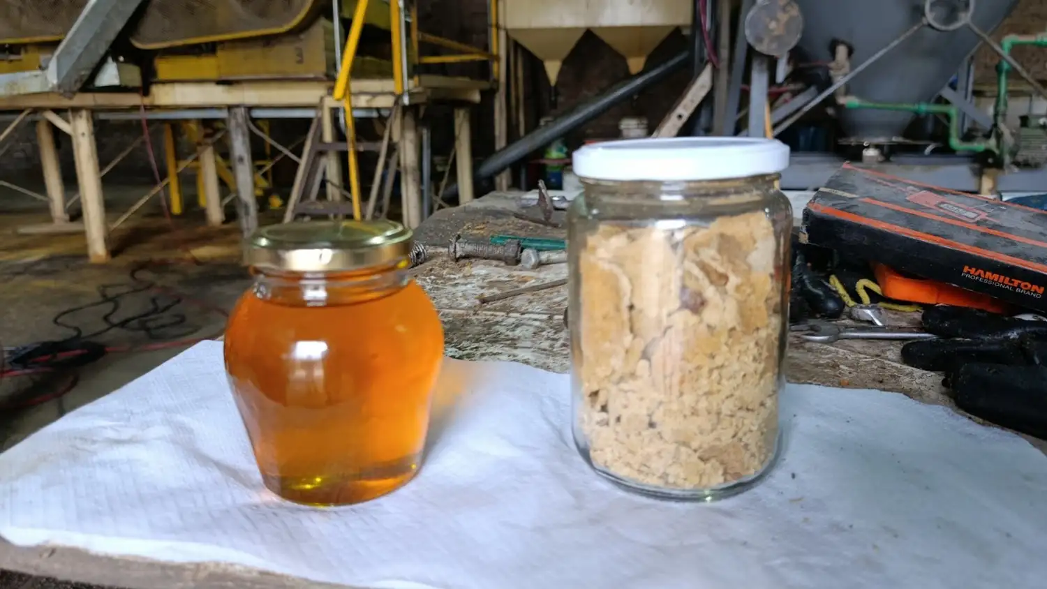 Aceite y expeller de soja