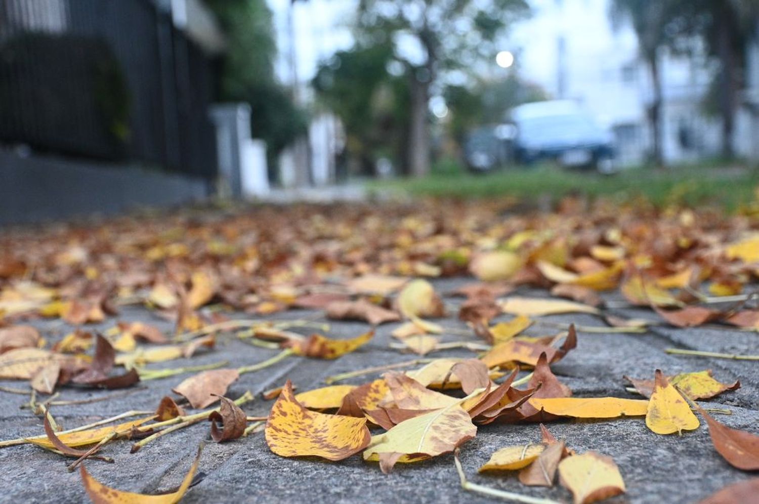 Otoño frío en Santa Fe