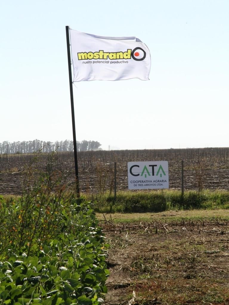 La Agraria vuelve a mostrar su potencial productivo