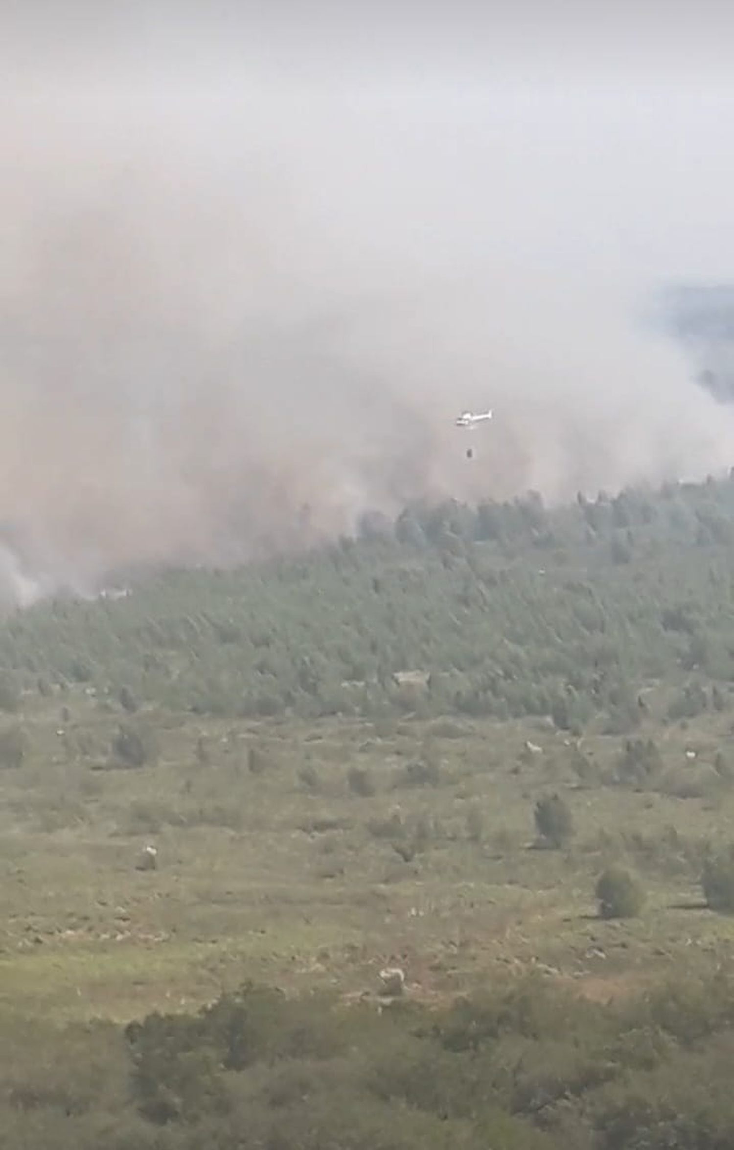 Fuego a metros de Atucha: El comunicado sobre los focos de incendios cercanos a la planta nuclear