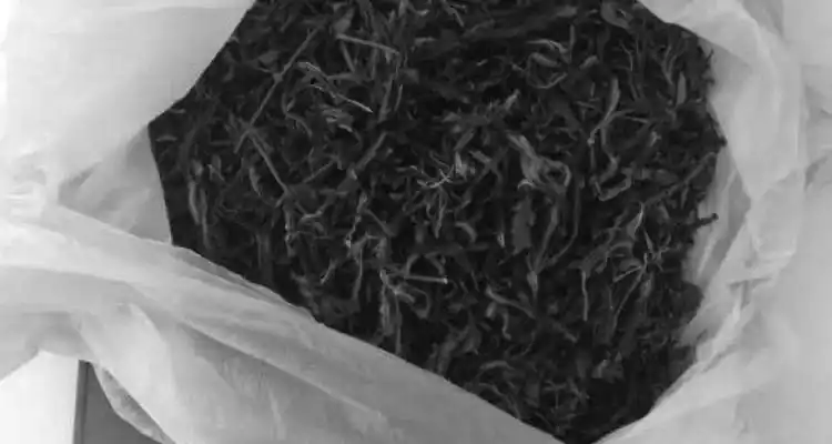Lo detuvieron con marihuana y su familia asegura que “fuma pero no vende”