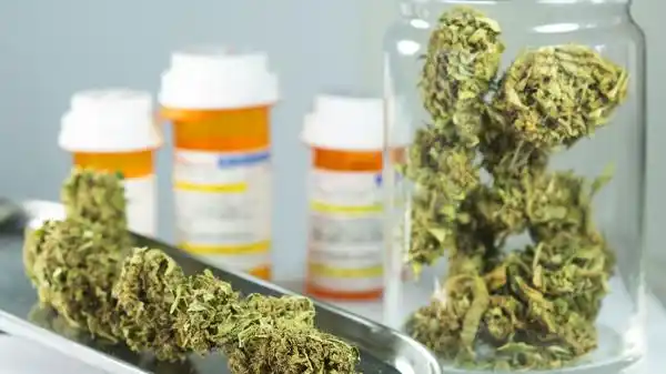 Guatemala debate sobre el uso medicinal y recreativo de la marihuana