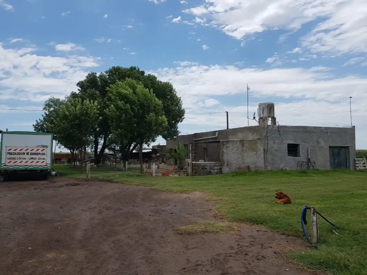 Se fue a cenar por Navidad y en cinco horas le desvalijaron la casa