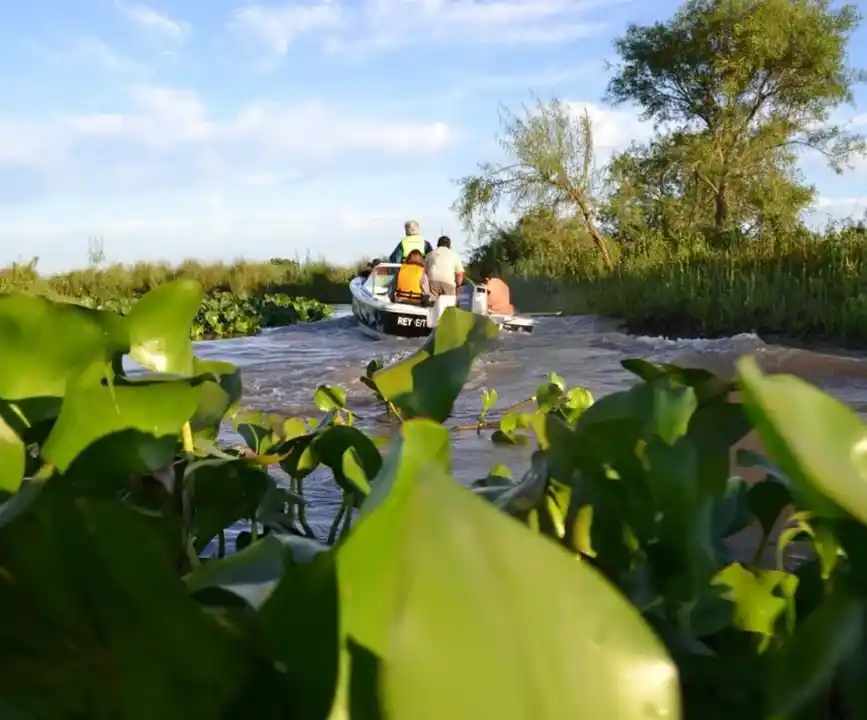 tusimo santa fe parana - 2