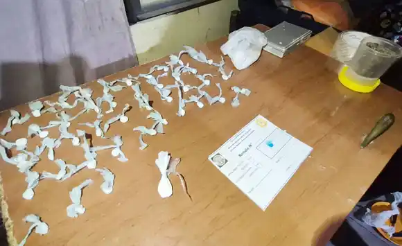 Dos personas apresadas, secuestro de drogas y armas de fuego