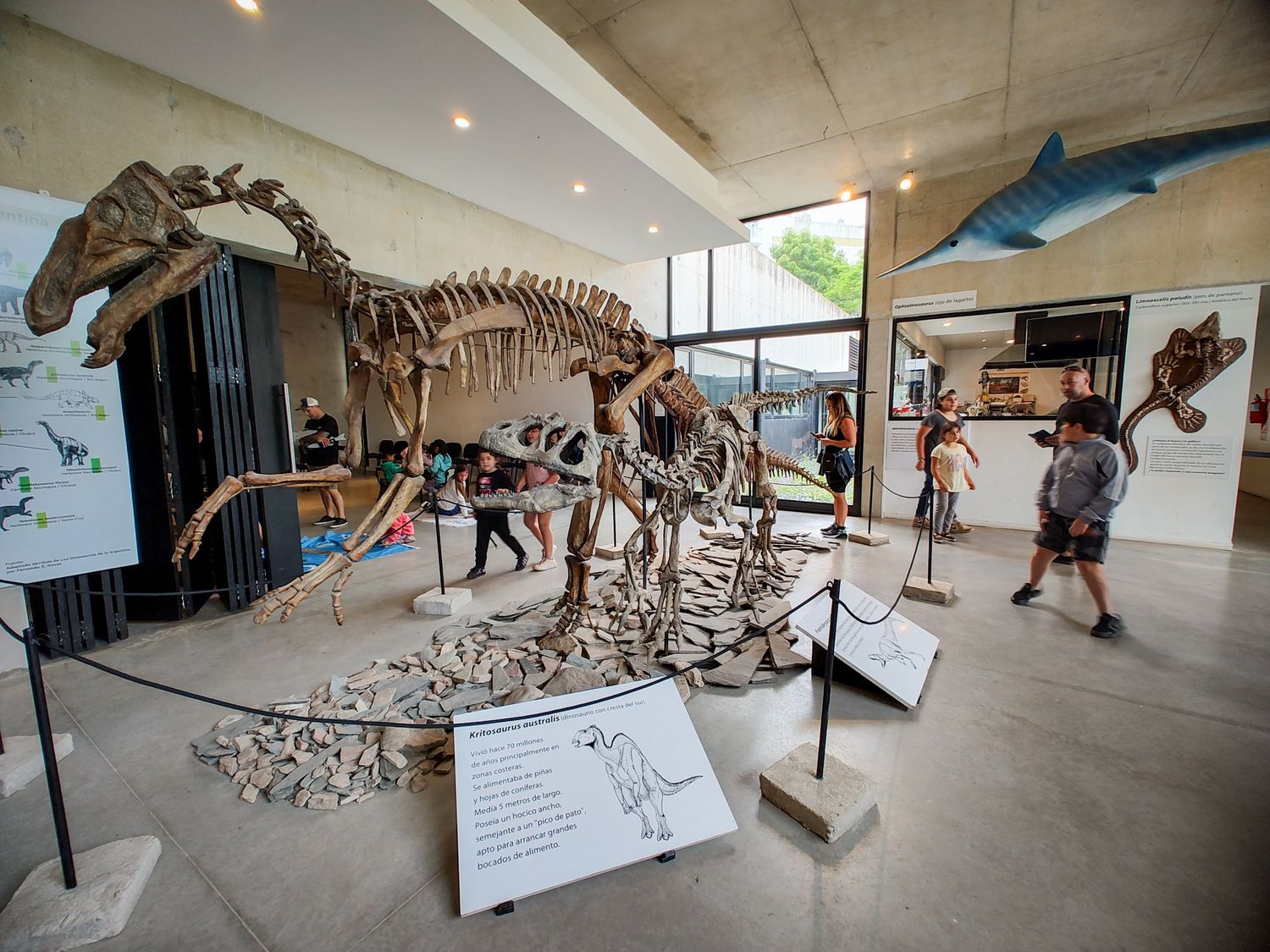 Actividades durante todo el verano en el Museo de Ciencias Naturales