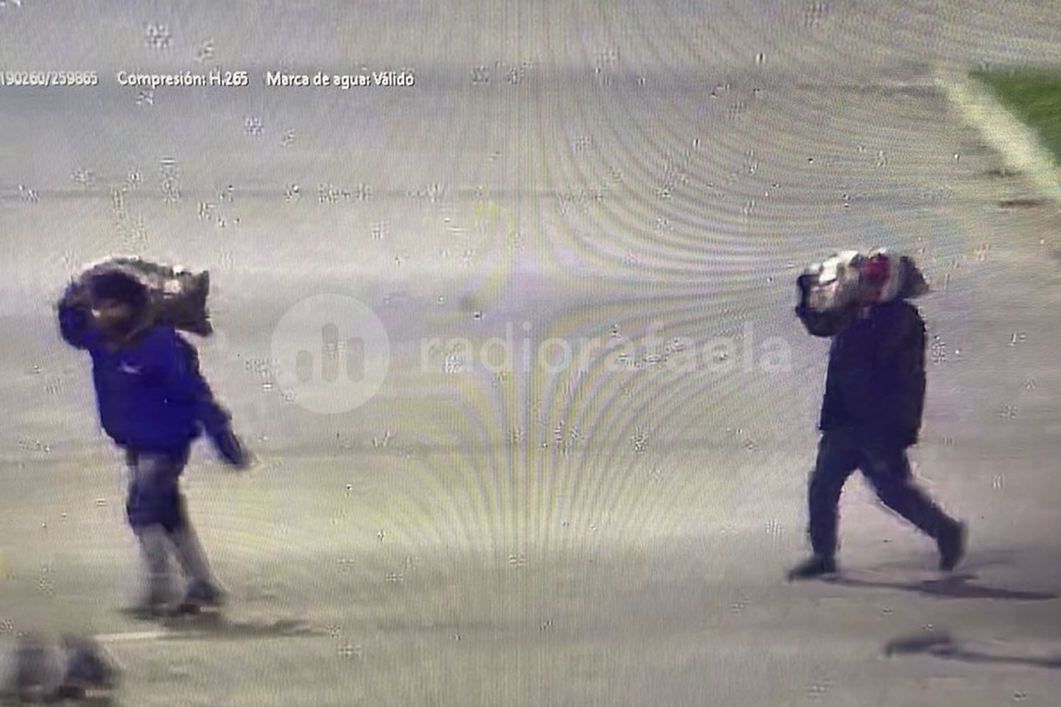 En inmediaciones de Granja “El Ceibo”, vieron a dos personas cargando bolsas de comida