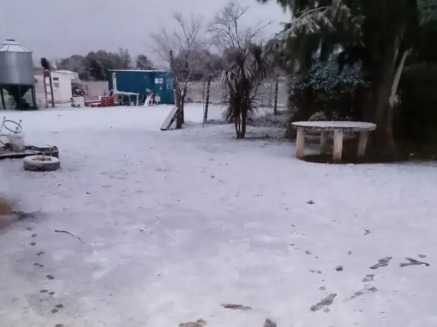 nieve - 1