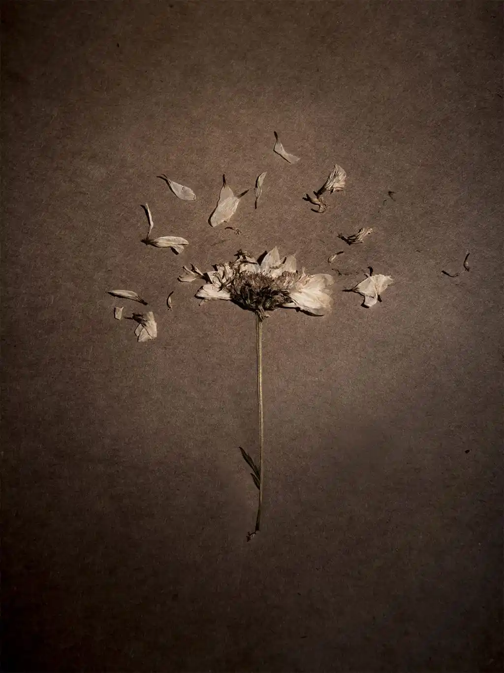 Agenda cultural sábado 19 de octubre