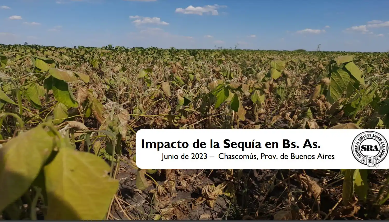 A Buenos Aires la sequía le costará 8.500 millones de dólares